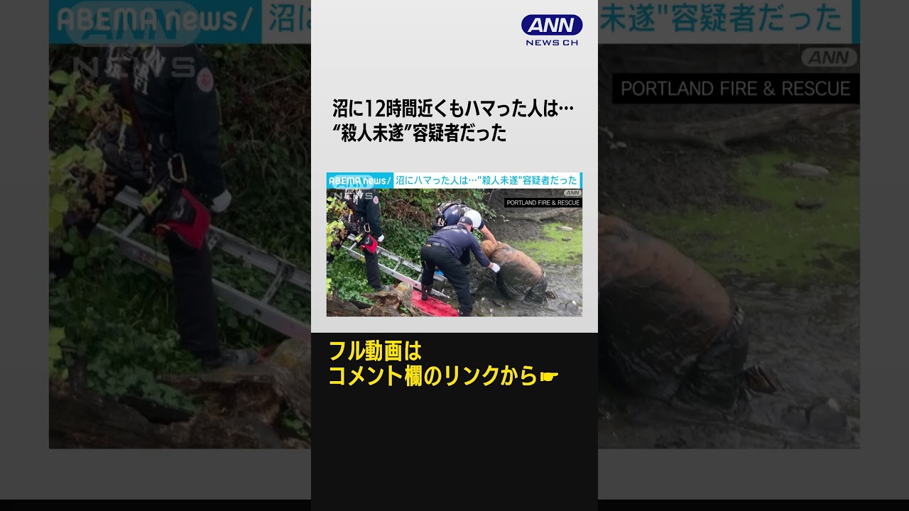 泥沼からようやく無事救出…　んっ？逃走中の殺人未遂容疑者だった！ #Shorts