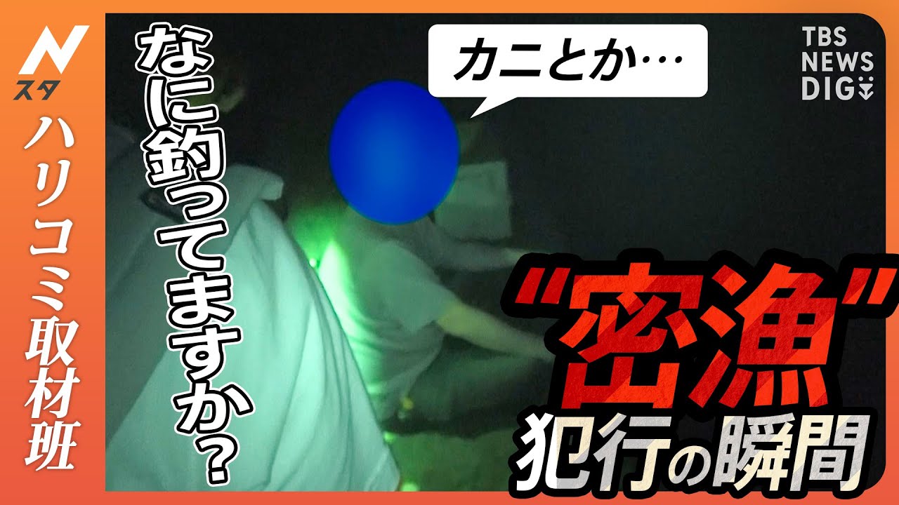 高級食材「伊勢海老」を狙う密漁犯！カメラが捉えた犯行の瞬間！海上保安庁密漁取り締まりチームに密着取材｜TBS&nbsp;NEWS&nbsp;DIG