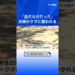 突然現れたクマと取っ組み合い…「血だらけだった」70代夫婦がけが、命に別状なし　新潟  | TBS NEWS DIG #shorts