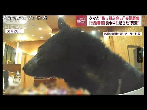 クマと“取っ組み合い”夫婦軽傷　「出没警報」発令中に起きた“異変”(2023年9月4日)