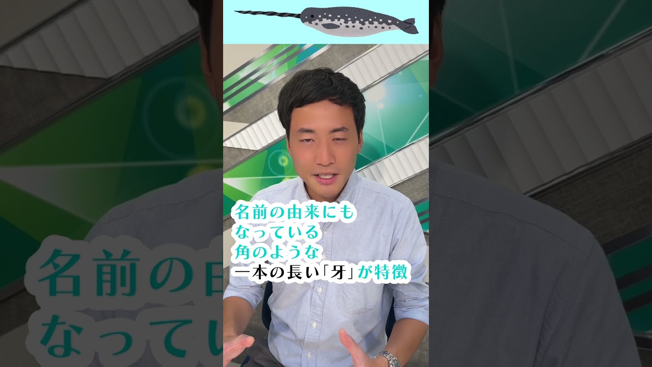 この映像 なんの動物でしょうか?!【トピックイズ】 #shorts