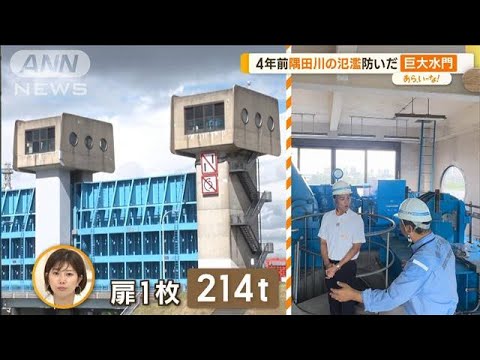 隅田川の氾濫防ぐ「巨大水門」　高潮から街守る“壁”　都内の水害対策【あらいーな】(2023年9月5日)