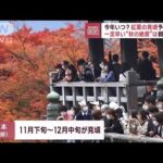 今年いつ？紅葉の見頃予想発表　一足早い“秋の絶景”は観光客が(2023年9月5日)