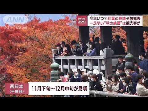 今年いつ？紅葉の見頃予想発表　一足早い“秋の絶景”は観光客が(2023年9月5日)