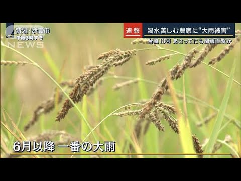 渇水苦しむ新潟の農家に“大雨被害”各地で『記録的短時間大雨情報』土砂災害に警戒(2023年9月6日)