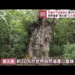 世界遺産“屋久島”に大量のごみ　町議が焦げた畳を不法焼却か(2023年9月7日)