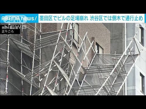 東京・墨田区でビルの足場崩れる　渋谷区では倒木で通行止め(2023年9月8日)