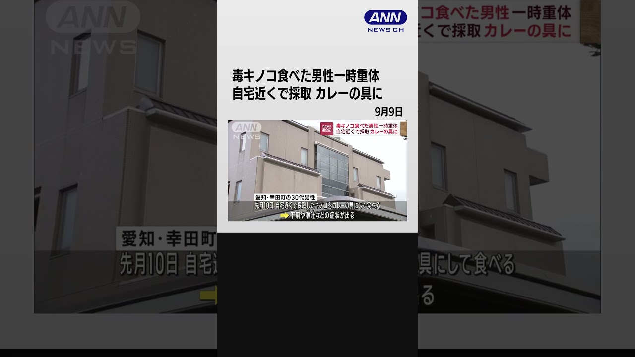 毒キノコ食べた男性が一時重体 自宅近くで採取…カレーの具に #shorts