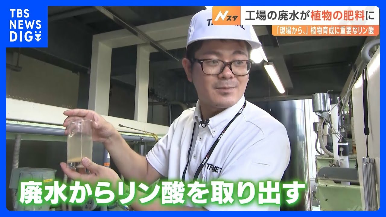 工場廃水を植物の肥料に…植物育成に重要な「リン酸」を再利用｜TBS NEWS DIG