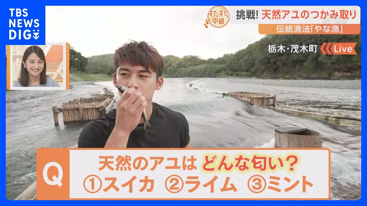 北関東の那珂川で“清流の女王”天然アユのつかみ取りに挑戦！とれたてのアユはある爽やかな匂いも？【すたすた中継】｜TBS&nbsp;NEWS&nbsp;DIG