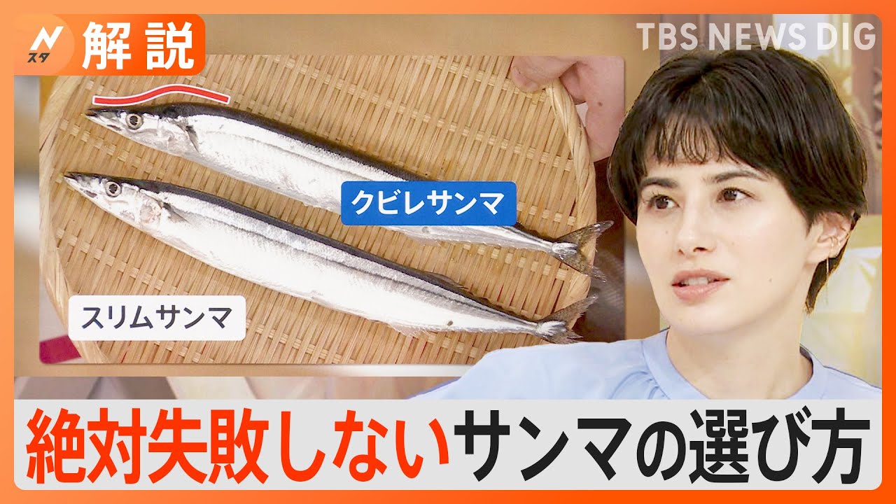 絶対失敗しないサンマの選び方“くびれ”に注目!?マツコの知らない世界出演の料理長に聞く【Nスタ解説】｜TBS&nbsp;NEWS&nbsp;DIG
