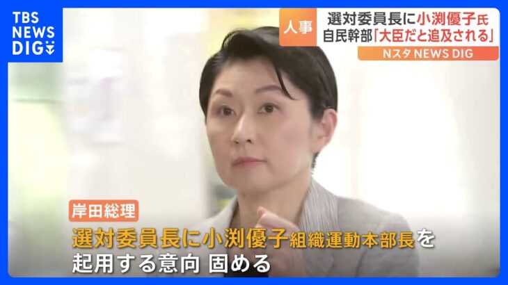 小渕優子氏は選挙対策委員長に　自民党幹部「大臣になると国会で野党に徹底追及される」｜TBS NEWS DIG