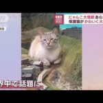 「ギャー！」大迫力　のどかな田舎道に巨大ネコ！？　かわいい“暴れぶり”とは(2023年9月12日)