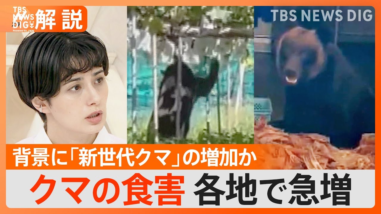 熊が“異常出没”で食害深刻　背景に「新世代クマ」の増加か【Nスタ解説】｜TBS&nbsp;NEWS&nbsp;DIG