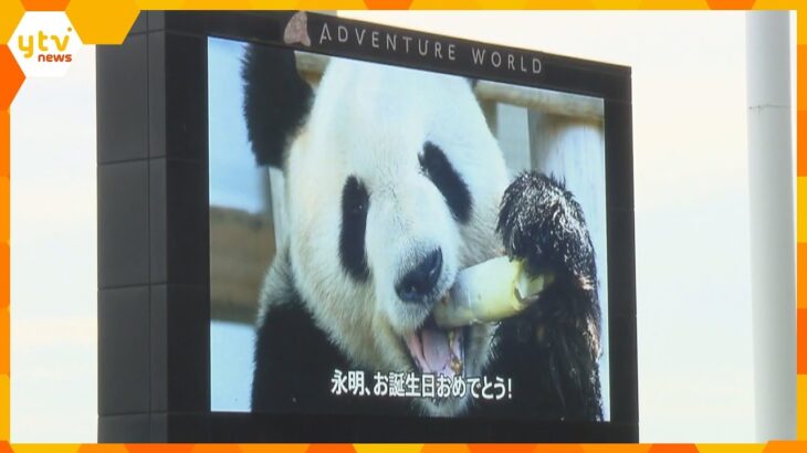 お父さんパンダ「永明」３１歳の誕生日を祝うイベント　和歌山・白浜で開催　現在は中国・四川省に