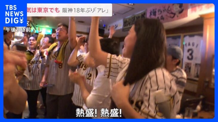 関西だけじゃない！東京では“熱盛コール” 阪神18年ぶりの優勝で「アレがコレに」川に柱に…道頓堀では危険行為も【news23】｜TBS NEWS DIG