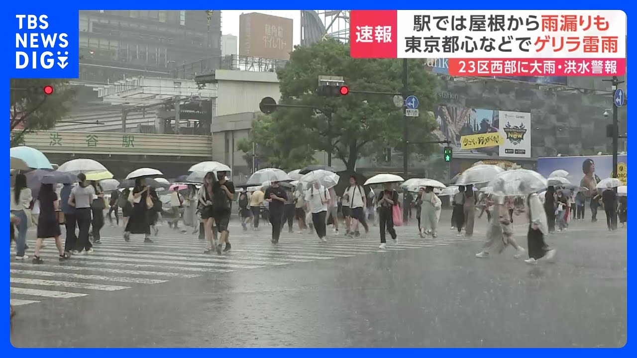 上野・アメ横は一時停電　信号機にも影響　東京都内で“ゲリラ雷雨”　大気の状態が非常に不安定に｜TBS&nbsp;NEWS&nbsp;DIG
