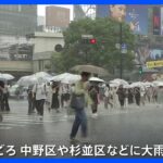 上野・アメ横は一時停電　信号機にも影響　東京都内で“ゲリラ雷雨”　大気の状態が非常に不安定に｜TBS NEWS DIG