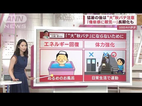 “大”秋バテに注意！異例の猛暑で消耗…回復しないまま秋バテに…医師に聞く対策(2023年9月15日)