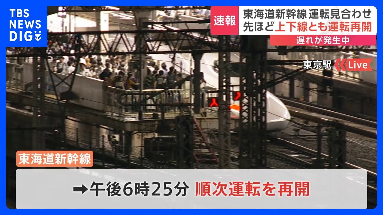 【速報】東海道新幹線が運転再開　大雨の影響で一時運転見合わせ｜TBS&nbsp;NEWS&nbsp;DIG