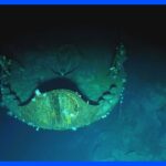 ミッドウェー海戦で沈んだ空母「赤城」の姿　沈没以来81年ぶりに海底で撮影｜TBS NEWS DIG