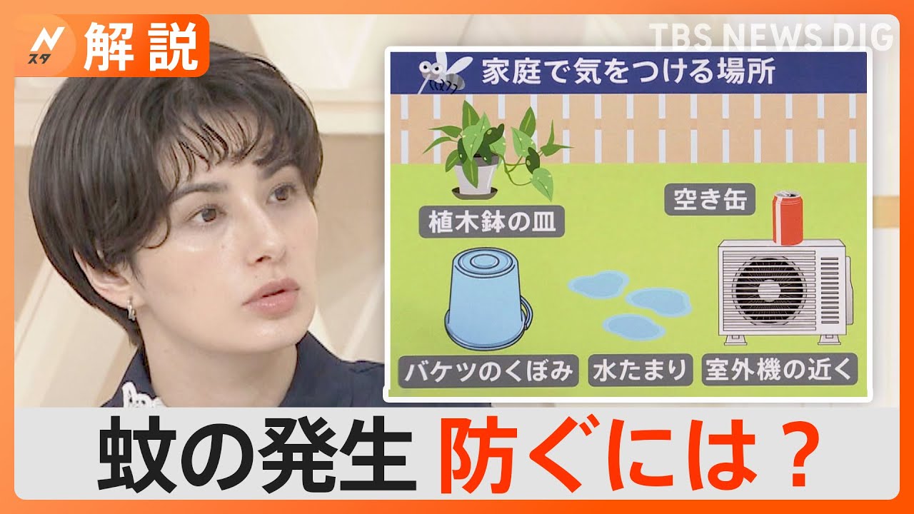 秋に「蚊」大量発生か…“足裏の除菌”が効果的？刺されにくくするハウツーまとめ【Nスタ解説】｜TBS&nbsp;NEWS&nbsp;DIG