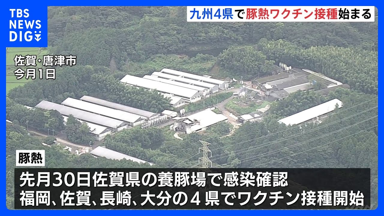 福岡・佐賀・長崎・大分の豚熱ワクチン接種始まる　4県の50万頭が対象｜TBS&nbsp;NEWS&nbsp;DIG