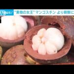 “果物の女王”マンゴスチン　熱処理なしの輸入も　より新鮮に日本へ(2023年9月19日)