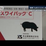 畜産農家“封じ込めに厳戒態勢”豚熱　九州でワクチン接種開始(2023年9月19日)