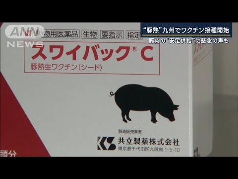 畜産農家“封じ込めに厳戒態勢”豚熱　九州でワクチン接種開始(2023年9月19日)