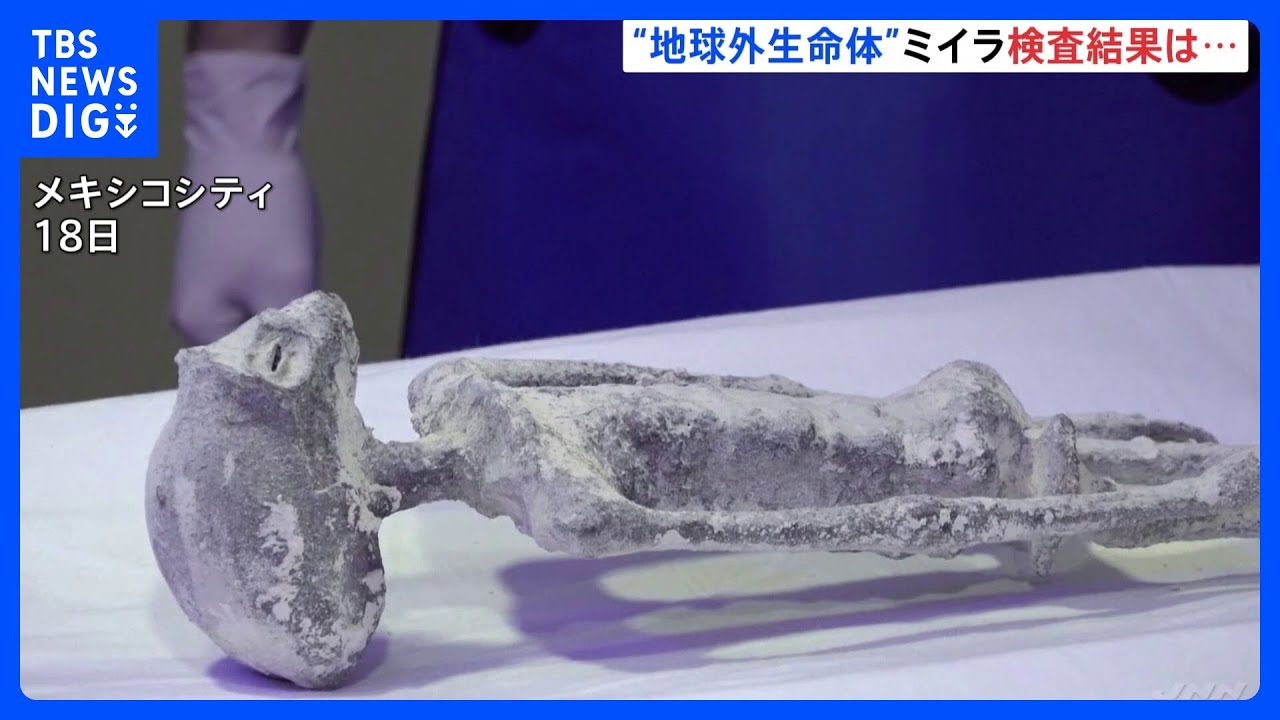 ミイラを検査したら…「組み立て形跡なし」　メキシコで公開の“宇宙人”｜TBS&nbsp;NEWS&nbsp;DIG