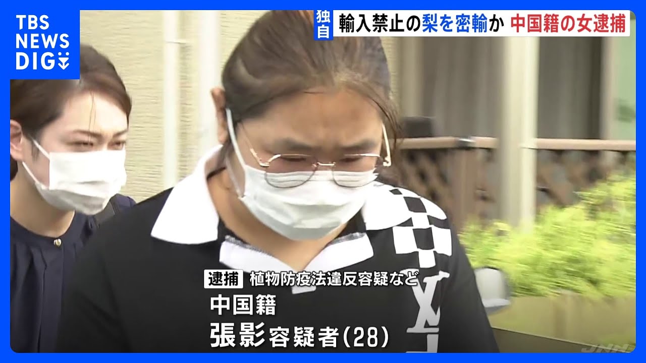 害虫対策のため…禁止の中国産梨を輸入の疑いで女逮捕　販売疑いの店「売ってない」｜TBS&nbsp;NEWS&nbsp;DIG