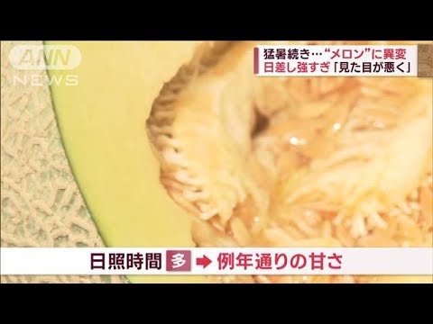 列島“不安定天気”…「恐怖感じた」海上に竜巻出現　猛暑続き秋の味覚に異変(2023年9月20日)