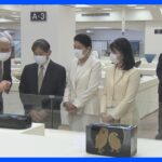 天皇ご一家が佳子さまの案内で「日本伝統工芸展」を鑑賞｜TBS NEWS DIG