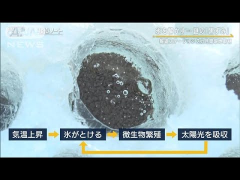 【報ステ】氷を解かす…謎の「黒ずみ」＆“降るはずのない雨”北極圏の今は…現地取材(2023年9月21日)