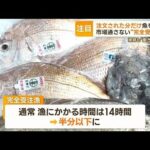 「完全受注漁」市場通さず…注文された分だけ魚をとる　漁師も“働き方改革”(2023年9月22日)