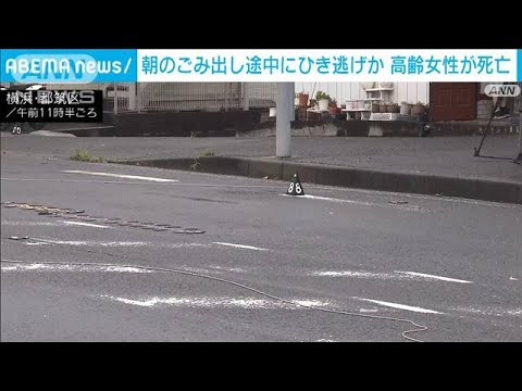 横浜市 県道で倒れていた高齢女性が死亡 ひき逃げ事件で捜査(2023年9月23日)