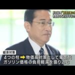 岸田総理“経済対策の柱”発表へ　物価高など対応「年収の壁」対策も(2023年9月25日)