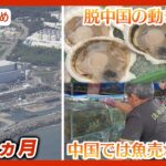 【ニュースまとめ】福島第一原発 処理水放出開始から1カ月 中国禁輸続きで「魚売れない」客激減/日本では”脱中国”の動き加速「ピンチをチャンスに」 ANN/テレ朝
