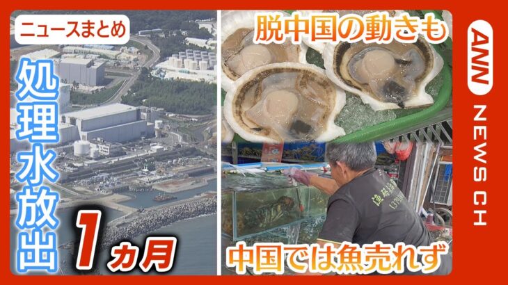 【ニュースまとめ】福島第一原発 処理水放出開始から1カ月 中国禁輸続きで「魚売れない」客激減/日本では”脱中国”の動き加速「ピンチをチャンスに」 ANN/テレ朝