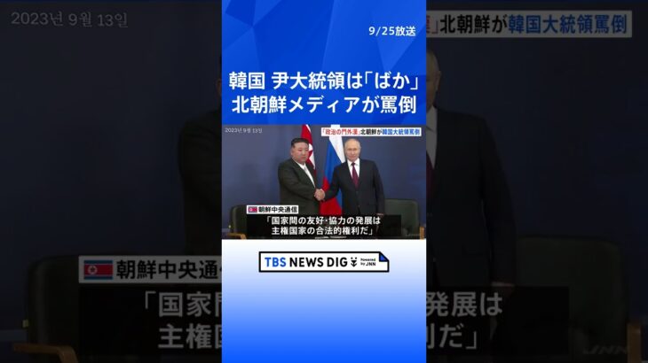 「ばか」「政治の門外漢」北朝鮮メディアが韓国・尹大統領を罵倒　尹大統領の国連での演説に反論「国家間の友好発展は主権国家の合法的権利」｜TBS NEWS DIG #shorts