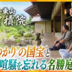 【若一調査隊】秀吉と驚きの因縁!?国宝障壁画に名勝庭園　京都・東山の名刹「智積院」の知られざる魅力