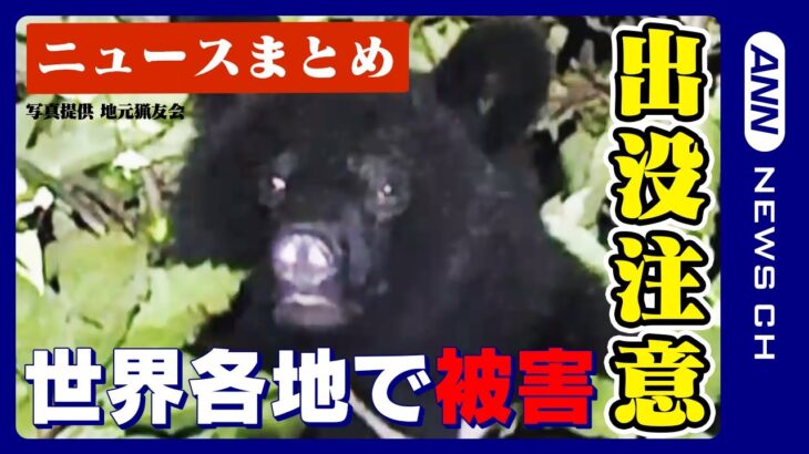 【ニュースまとめ】世界各地でクマによる被害相次ぐ！🐻日本国内でも目撃情報多数 急な出没に注意！ANN/テレ朝