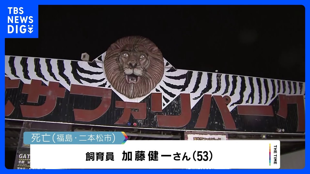 檻の中で首から血を流し… エサやり中にライオンに襲われたか 東北サファリパークで男性飼育員が死亡|TBS NEWS DIG