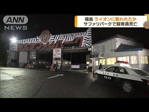 ライオンに襲われたか　おりの中で男性飼育員が死亡(2023年9月29日)