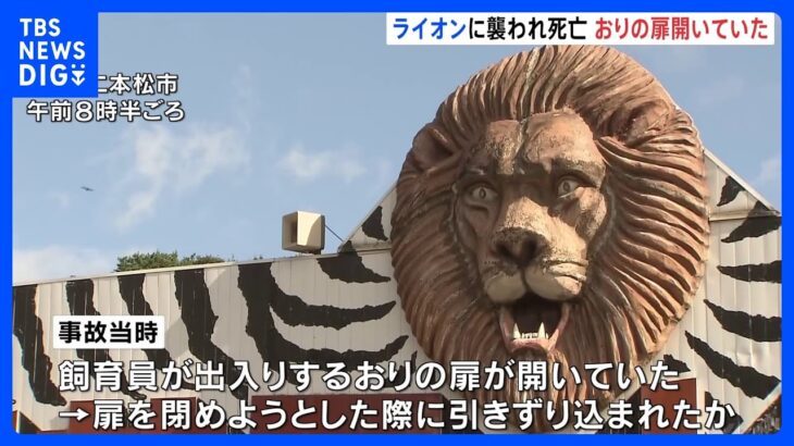 おりの扉が開いていた　ライオンに襲われ飼育員死亡　東北サファリパーク｜TBS NEWS DIG