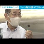 【解説】日本で“ノーベル賞級”発明 ペロブスカイト太陽電池とは 山口豊アナウンサー(2023年9月29日)