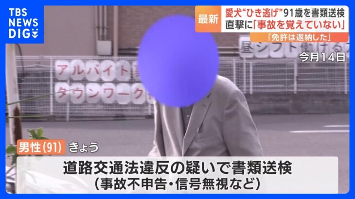 6歳が連れた犬を“ひき逃げ”疑い、91歳男性を書類送検　事故を認める｜TBS NEWS DIG