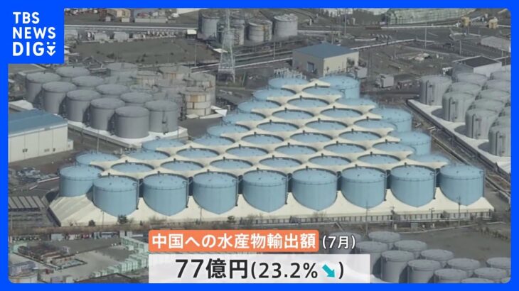 中国向け水産物の7月の輸出額 去年比23%減少　全面的な放射性物質の検査が影響｜TBS NEWS DIG