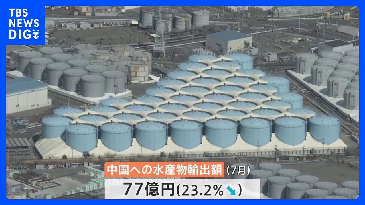 中国向け水産物の7月の輸出額 去年比23%減少 全面的な放射性物質の検査が影響|TBS NEWS DIG